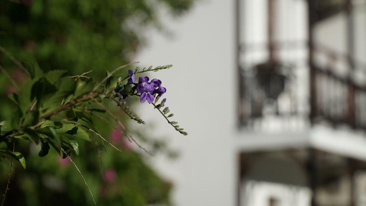 Totelya Hotel Akyaka  Eksteriør billede